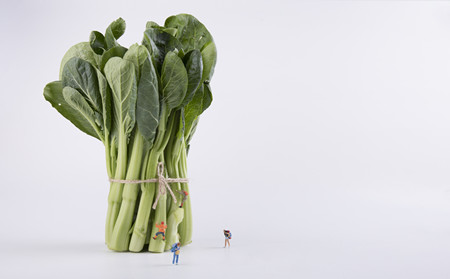 东方能治银屑病的医院