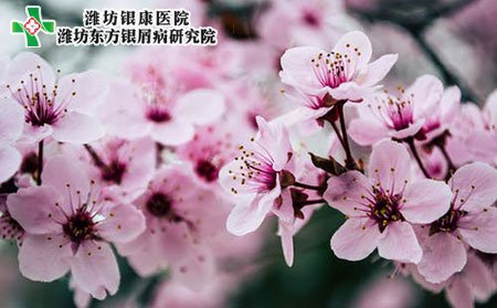 【潍坊银康医院】腊八到来，银屑病吃什么好？